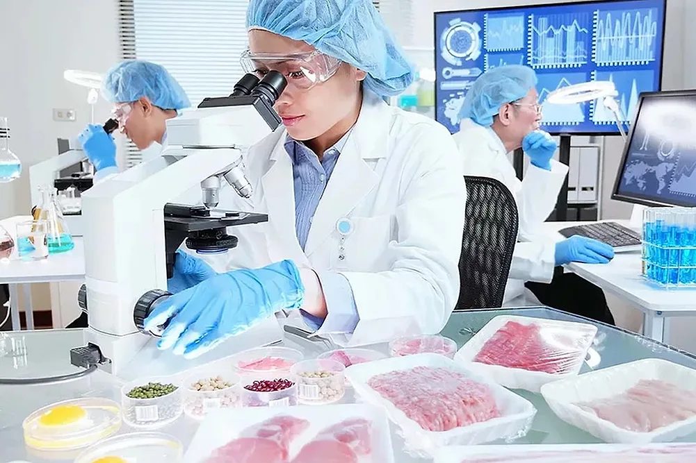 Lab-Grown Meat- Where Regulation and Adoption Stand 