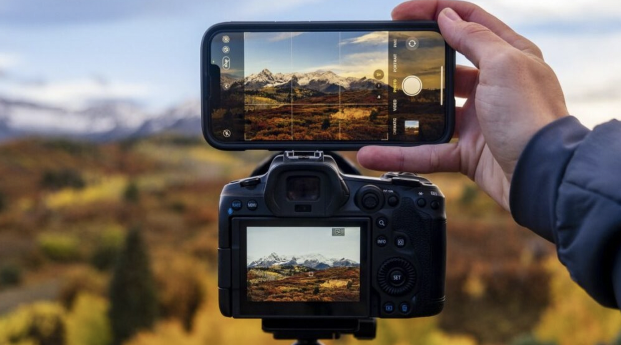 Light matters more than megapixels